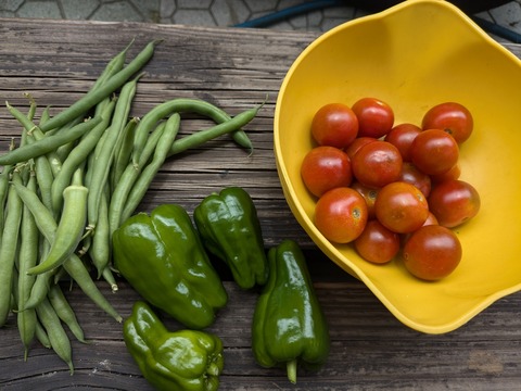 PXL_20240709_025428087