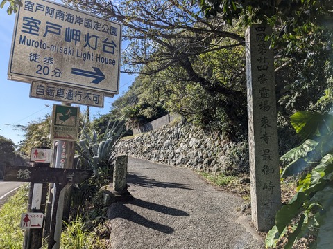 PXL_20241122_020531917