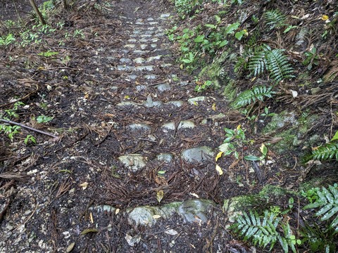 PXL_20240427_003905903