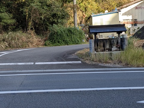 PXL_20251122_233552790