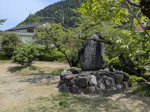 PXL_20250501_021543316