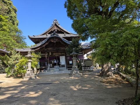 PXL_20250429_000430277