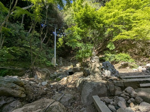 PXL_20250428_235200802