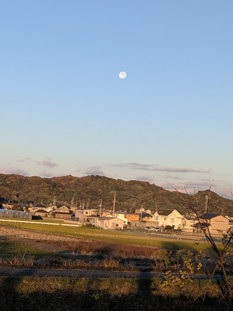 PXL_20251205_221924046