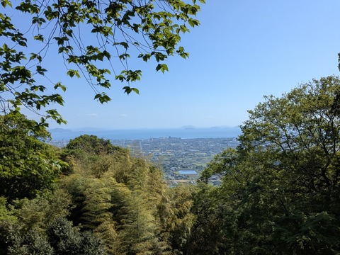 PXL_20250429_000510086