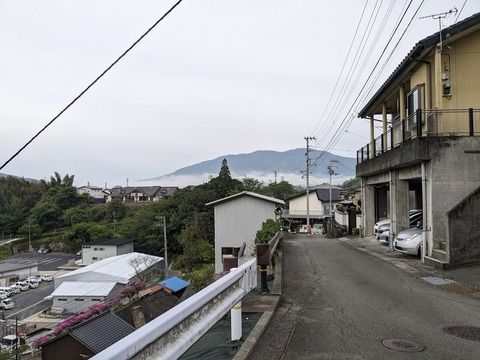 PXL_20240425_210628826