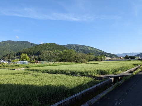 PXL_20240424_223302225