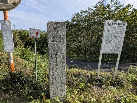 PXL_20241023_231323916