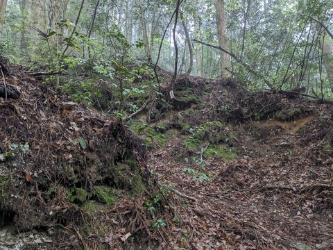 PXL_20240426_234908638