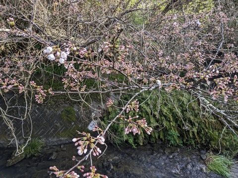 PXL_20240329_222900135