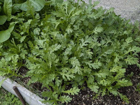 PXL_20251128_070126685