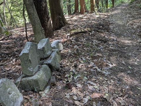 PXL_20250429_010329158