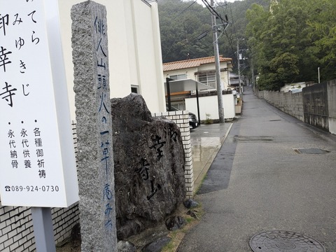 PXL_20241023_012653821