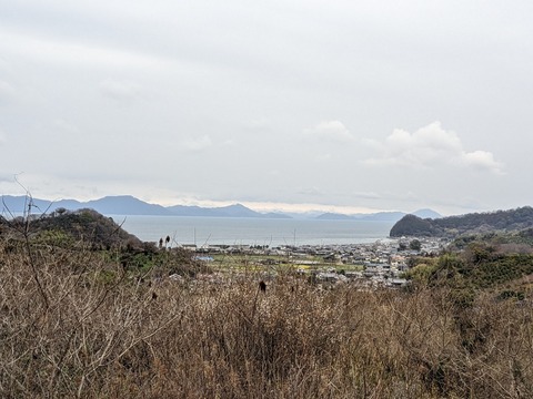 PXL_20240223_010559869