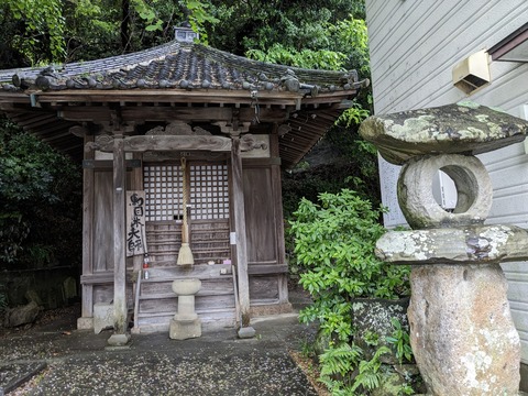 PXL_20240423_042303563