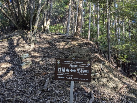 PXL_20241119_232330123