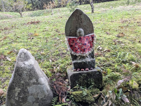 PXL_20251113_062547091