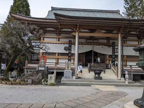 PXL_20240331_065326049