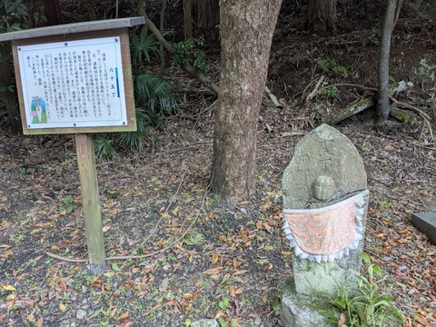 PXL_20251113_051018256