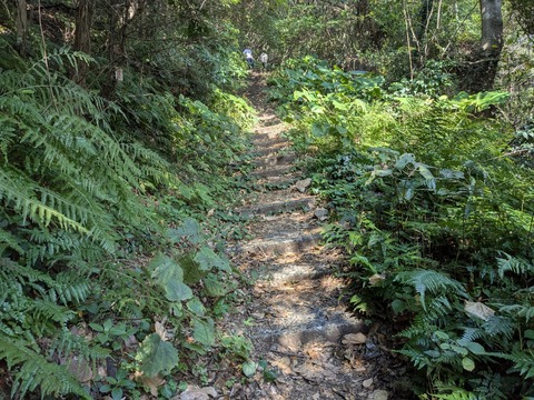 PXL_20251124_021932881