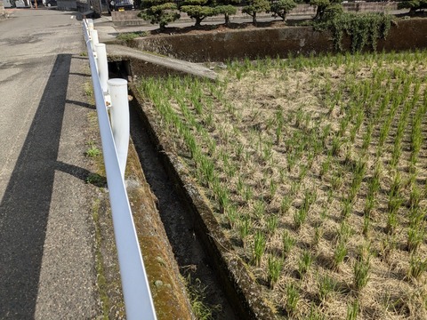 PXL_20241027_010211835