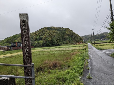 PXL_20240422_221939747