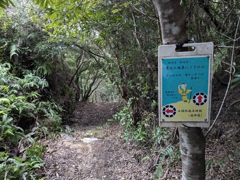 PXL_20241120_221324099