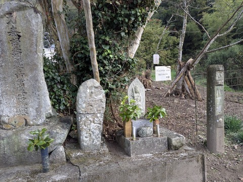 PXL_20251113_231145202