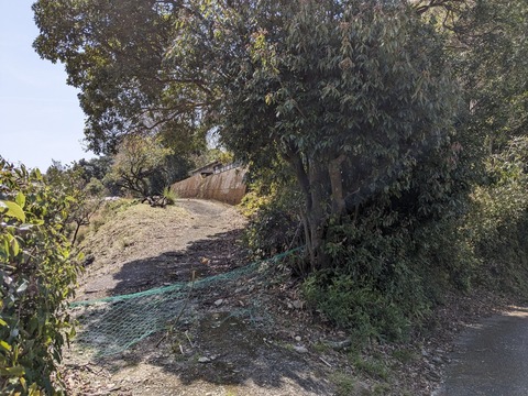 PXL_20240330_014719027