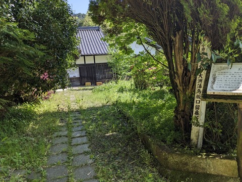 PXL_20240425_001532331