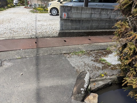 PXL_20240331_021630041