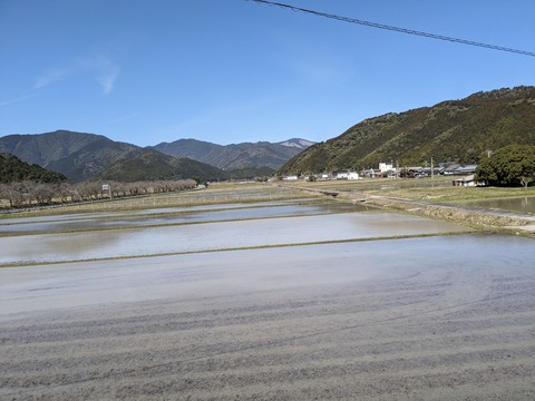 PXL_20240327_021519877