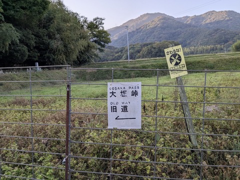 PXL_20251114_223613043