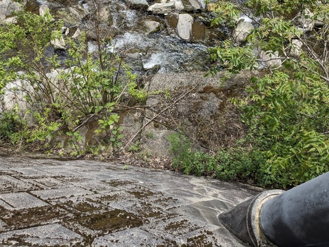 PXL_20240426_015418596