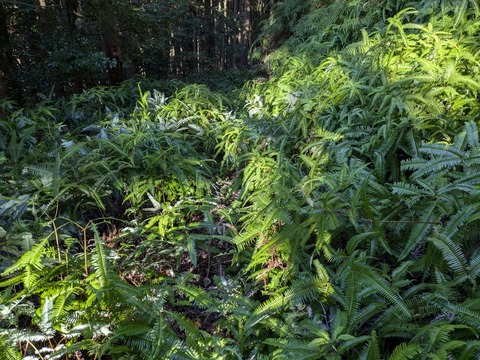 PXL_20241119_234200309