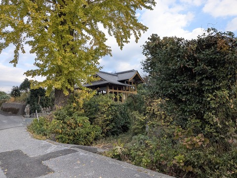 PXL_20251126_233504383