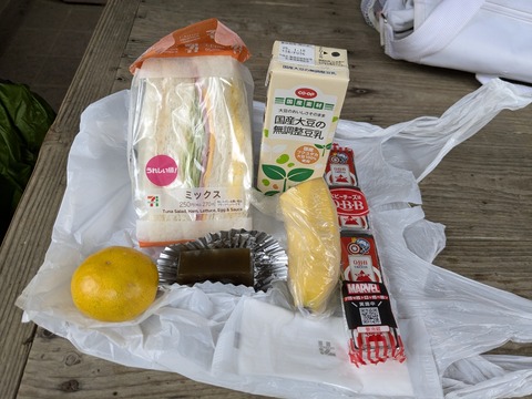 PXL_20241022_025252624