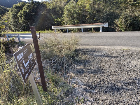 PXL_20241120_000432148