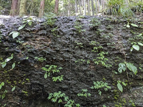 PXL_20240723_021340687