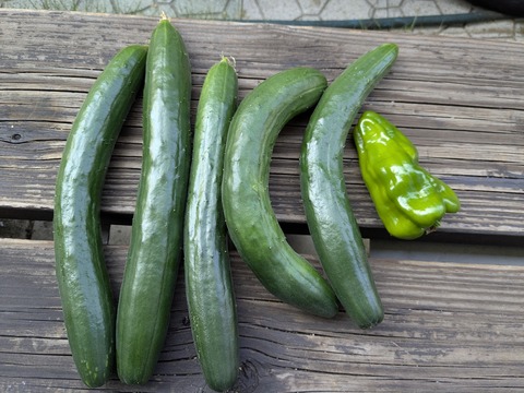 PXL_20250629_225825861