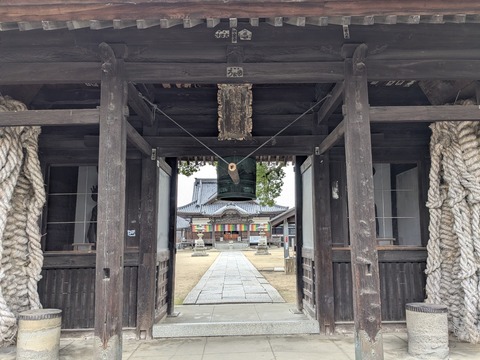 PXL_20251113_004209248