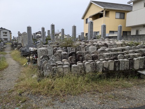 PXL_20241022_050417863