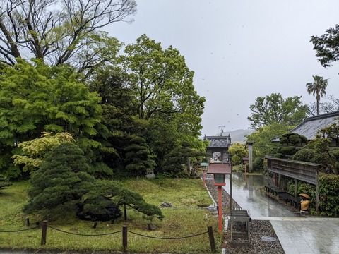 PXL_20240423_005259551