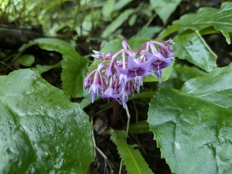 PXL_20240723_021536997