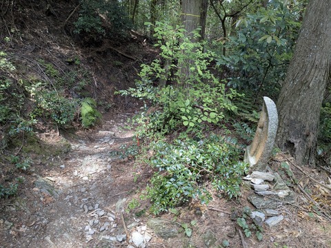 PXL_20250430_034618900