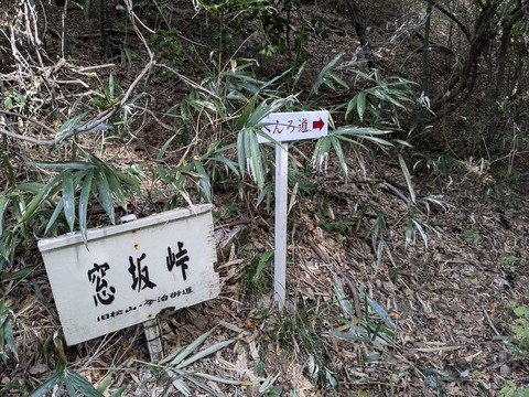 PXL_20241024_001027664