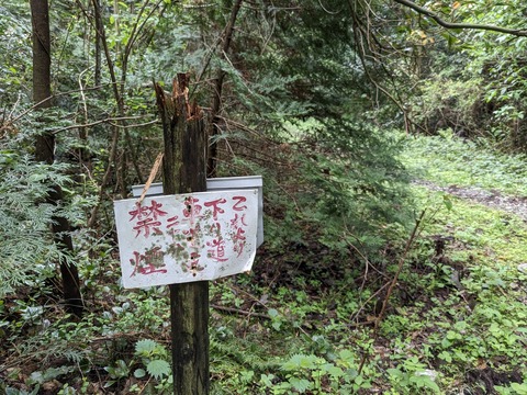 PXL_20240424_021828182