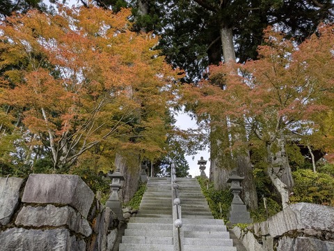 PXL_20251103_002759223