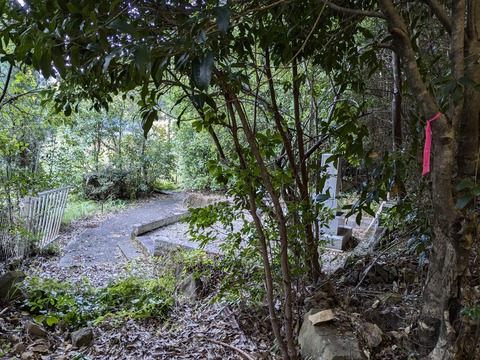 PXL_20241120_000132580.MP