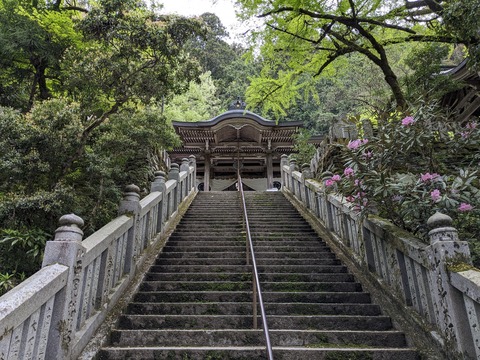 PXL_20240426_070324597